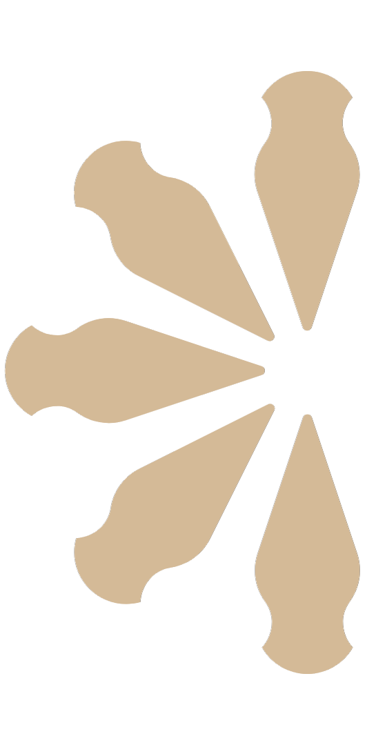 Pinhão